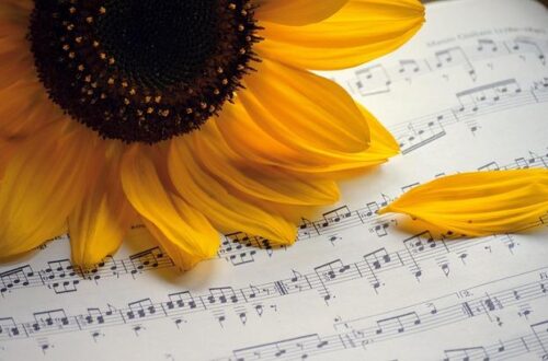 Remix of the Best Songs: The Ultimate Collection to Boost Your Mood and Dance All Night
