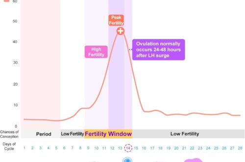 Best Fertility Testing Kits – Easy@Home 50 LH + 20 HCG Strips Review