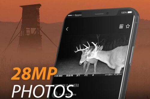 Best Hunting Cameras – SPYPOINT Flex-M Twin Pack Cellular Trail Cameras Review