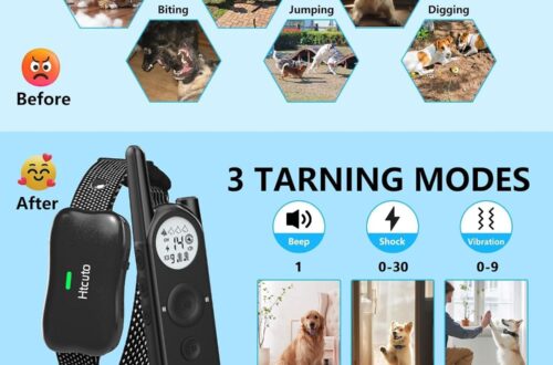 Best Wireless Dog Fence & Training Collar – Htcuto X3 Review