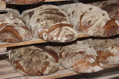 What Is the Best Flour for Bread? Easy Tips to Get Perfect Loaves Every Time