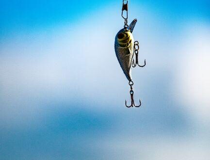 What Is the Best Reel for Bass Fishing? Find Easy Tips for Better Catching